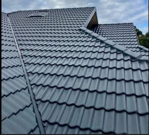 roof painting